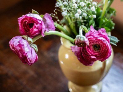 Holiday house Chianti Wine Resort Tenuta di Bibbiano - Features photo 14