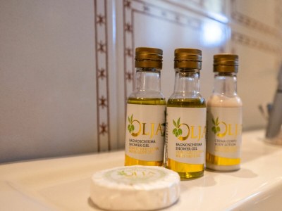 Holiday house Chianti Wine Resort Tenuta di Bibbiano - Features photo 79