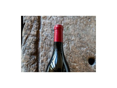 Holiday house Chianti Wine Resort Tenuta di Bibbiano - Features photo 105