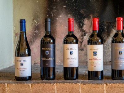 Holiday house Chianti Wine Resort Tenuta di Bibbiano - Features photo 108