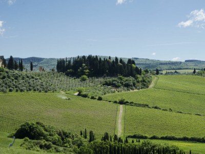 Holiday house Chianti Wine Resort Tenuta di Bibbiano - Environment photo 114