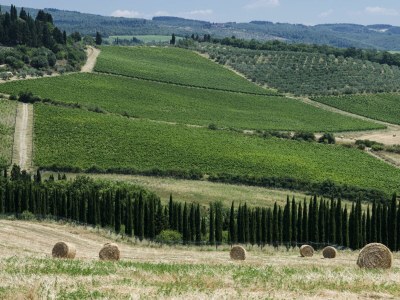 Holiday house Chianti Wine Resort Tenuta di Bibbiano - Environment photo 116