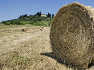 Holiday house Chianti Wine Resort Tenuta di Bibbiano - Environment photo 117