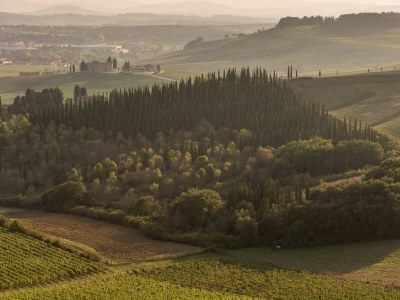 Holiday house Chianti Wine Resort Tenuta di Bibbiano - Environment photo 119