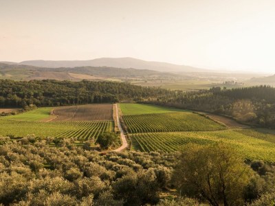 Holiday house Chianti Wine Resort Tenuta di Bibbiano - Environment photo 120