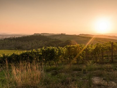 Holiday house Chianti Wine Resort Tenuta di Bibbiano - Environment photo 121