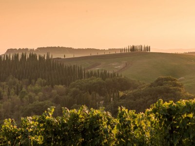 Holiday house Chianti Wine Resort Tenuta di Bibbiano - Environment photo 122