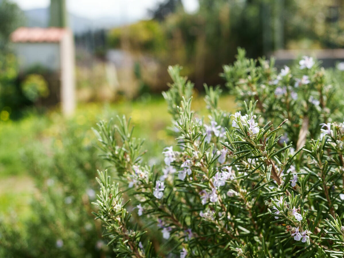 Holiday house La villa del relax - Outdoor photo 4