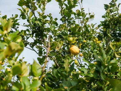 Holiday house La villa del relax - Outdoor photo 10