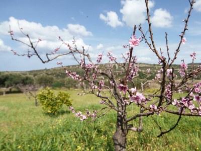 Holiday house La villa del relax - Environment photo 65