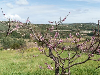 Holiday house La villa del relax - Environment photo 66