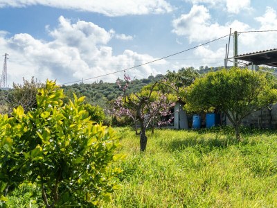 Holiday house La villa del relax - Environment photo 67