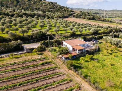 Holiday house La villa del relax - Environment photo 71