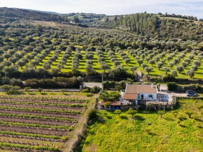 Holiday house La villa del relax - Environment photo 73