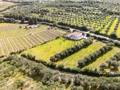 Holiday house La villa del relax - Environment photo 74