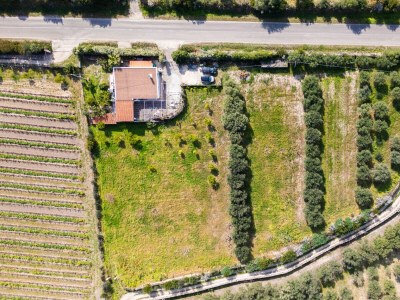 Holiday house La villa del relax - Environment photo 75