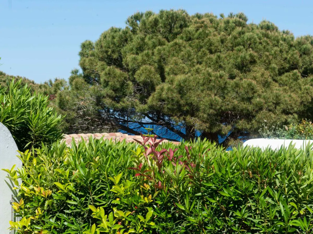 Holiday house Casa Eos - Outdoor photo 4