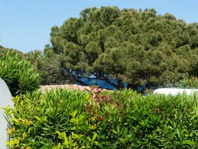 Holiday house Casa Eos - Outdoor photo 4