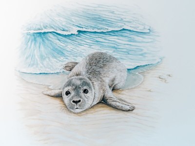 Holiday apartment No title - Features photo 9