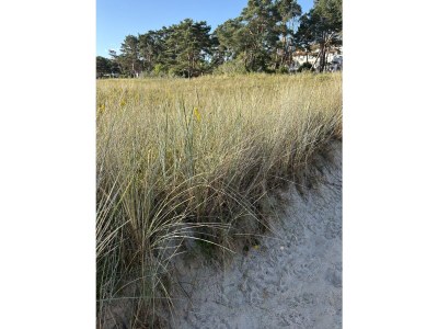 Holiday apartment No title - Environment photo 28