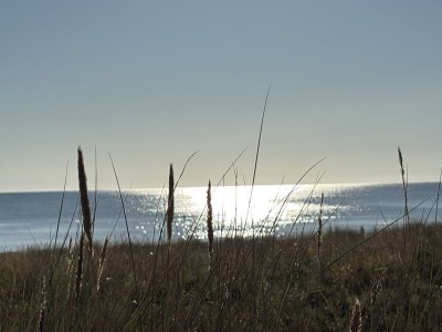 Holiday apartment No title - Environment photo 31