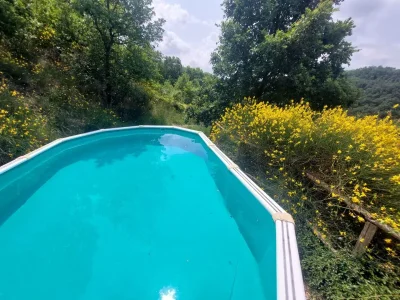 Holiday house Villa Carina: Cottage surrounded by green nature - Outdoor photo 3