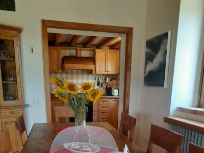 Holiday house Villa Carina: Cottage surrounded by green nature - Features photo 20