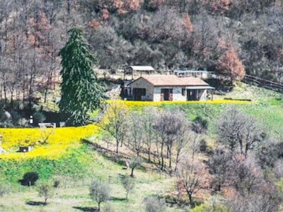 Holiday house Villa Carina: Cottage surrounded by green nature - Environment photo 28