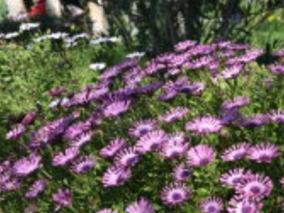 Finca No title - Outdoor photo 9