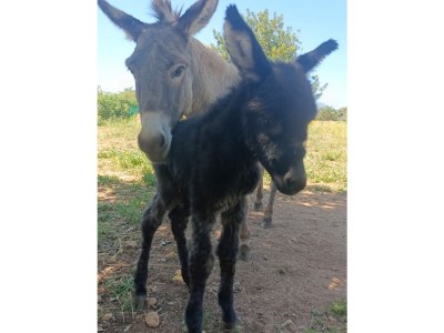 Finca No title - Outdoor photo 11