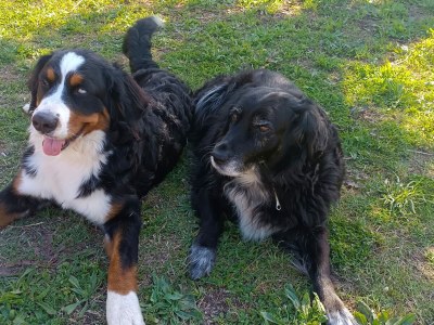 Finca No title - Outdoor photo 12