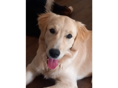 Finca No title - Outdoor photo 13