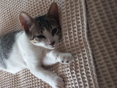 Finca No title - Outdoor photo 14