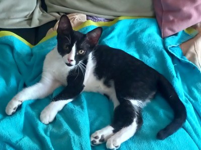 Finca No title - Outdoor photo 15