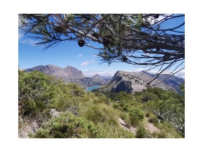 Finca No title - Environment photo 20