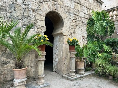 Finca No title - Environment photo 22