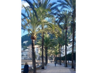 Finca No title - Environment photo 25