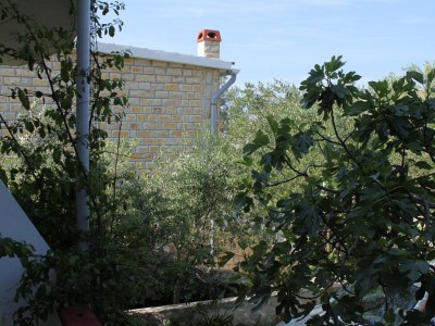 Apartment Two bedroom apartment with terrace Povljana, Pag A-6468-a - Outdoor photo 27