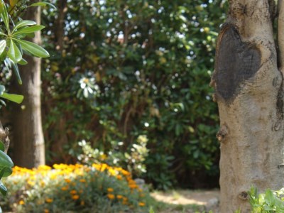 Apartment One bedroom apartment with terrace Povljana, Pag A-6468-c - Outdoor photo 6