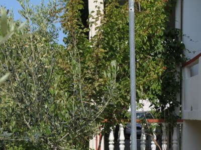 Apartment One bedroom apartment with terrace Povljana, Pag A-6468-c - Outdoor photo 8