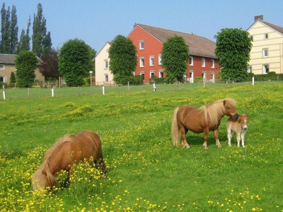 Bungalow Bungalowpark Landsrade – Geschakelde bungalow 4 - Outdoor photo 2