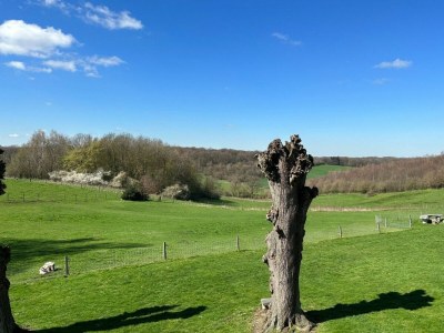 Bungalow Bungalowpark Landsrade - Geschakelde Bungalow 7 - Environment photo 15