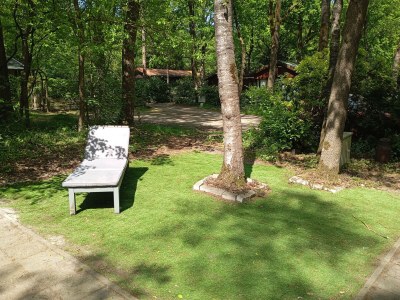 Chalet Chaletpark Kempenbos - 112 - Environment photo 10