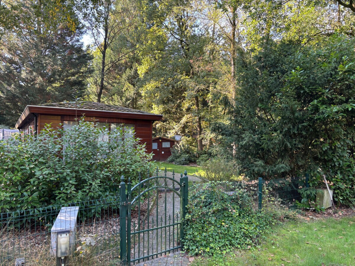 Chalet Chaletpark Kempenbos - 196 - Outdoor photo 2