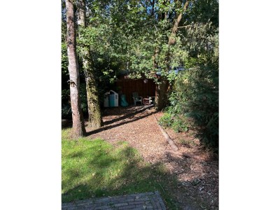 Chalet Chaletpark Kempenbos - 196 - Environment photo 17