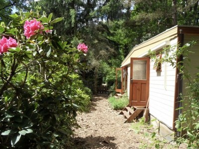 Chalet Chaletpark Kempenbos - 73 - Environment photo 11