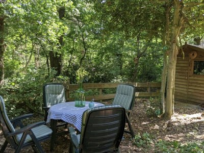 Chalet Chaletpark Kempenbos - 73 - Environment photo 12