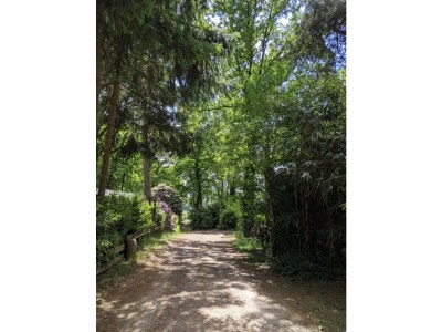 Chalet Chaletpark Kempenbos - 73 - Outdoor photo 13