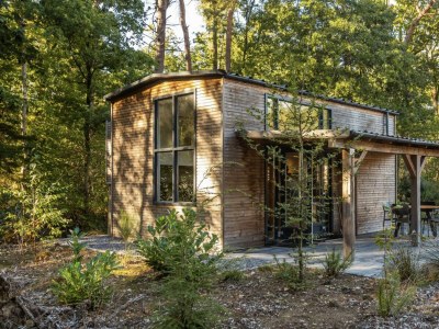 Chalet Vakantiepark De Wiltzangh - Tiny Borg in Ruinen - Chalet