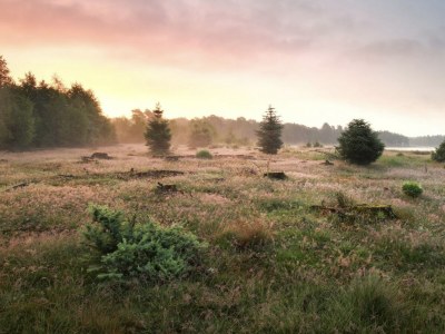 Chalet Vakantiepark De Wiltzangh - Tiny Borg - Environment photo 11